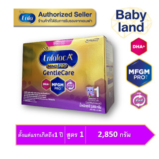 Enfalac A+ 1 GentleCare เอนฟาแลค เอพลัส เจนเทิลแคร์ นมผงสูตรพิเศษ สูตร1 1900 กรัม (บรรจุ6ซอง)