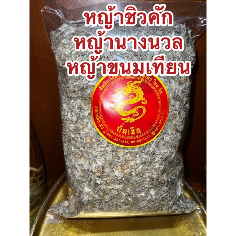 หญ้าชิวคัก หญ้านางนวล หญ้าขนมเทียน สำหรับนำไปทำขนมเทียน หญ้าฉื่อคัก ดอกฉื่อคัก ดอกดิน