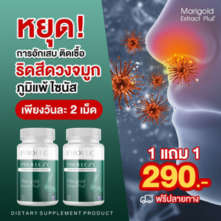 1 แถม 1 Prolec marigold ส่งฟรี แก้ไซนัส บรรเทาอาการเหนื่อย หอบ และภูมิแพ้ทุกอาการ