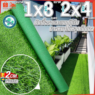 1x8,2x4เมตร = 8ตารางเมตร หญ้าใบสูง 2 ซมหญ้าเทียม หญ้าเทียมปูพื้น หญ้าเทียมยกม้วน หญ้าเทียมราคาถูก หญ้าเทียม