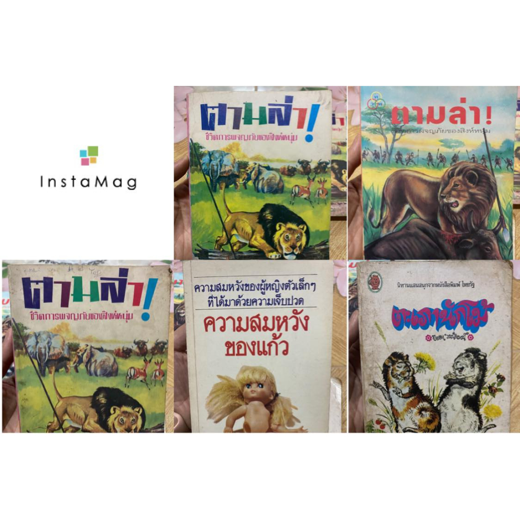 ตามล่า ความสมหวังของแก้ว และตะเภานักโม้171167