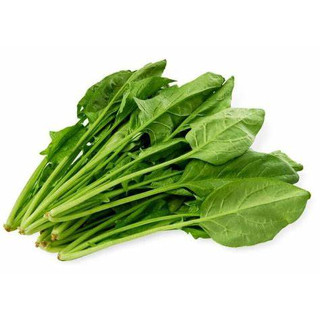 ปวยเล้ง(Spinach) ผักมีสารอาหารและคุณประโยชน์มากมากมาย ปลูกง่าย รสชาติดี พร้อมปลูกกล้าละ10บาท ซื้อ10แถม2กล้า