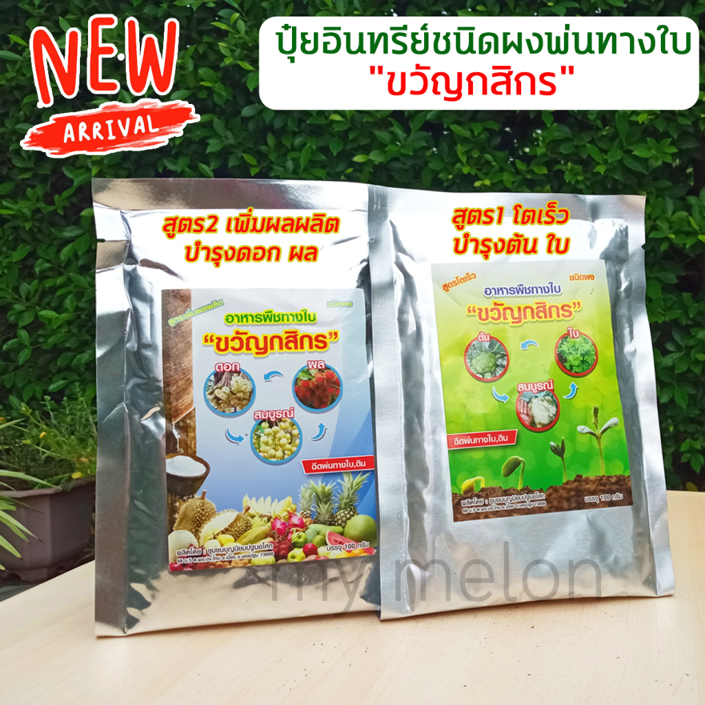 ปุ๋ยอินทรีย์ชนิดผงพ่นทางใบ ตราขวัญกสิกร 100กรัม (มี2 สูตร) สูตร1 บำรุงต้นใบ, สูตร2 บำรุงดอกผล