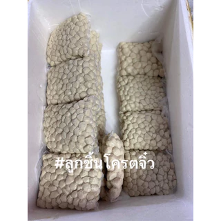 ลูกชิ้นหมูจิ๋ว🐖 ไซด์240-250 ลูกต่อ 1 กิโลกรัม เกรดปิ้ง ย่าง ก๋วยเตี๋ยว ยำได้ แพ้ค สูญญากาศ