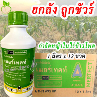 ถูกชัวร์ ยกลัง เมอร์เทค 1ลิตรx12 ขวด มีไซไตรโอน + อะทราซีน กำจัดวัชพืชในไร่ข้าวโพด อ้อย ฉีดทับข้าวโพดได้ เมอเทค จีโอโปร