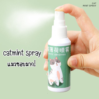 พร้อมส่ง Catnip แบบสเปรย์