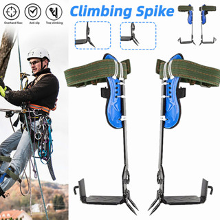 อุปกรณ์ปีนต้นไม้ อุปกรณ์ปีนเสาไม้ รองเท้าปีนต้นไม้ Tree Climbing Spike Set W/Gear Adjustable Lanyard Stainless Steel