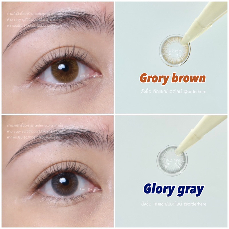 คอนแทคเลนส์ Protrendcolor รุ่น Glory (14.2mm.)