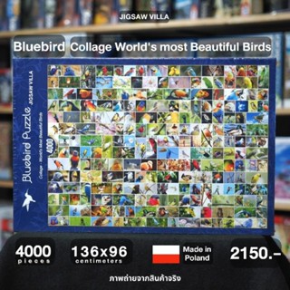 Bluebird Puzzle - Collage Worlds most Beautiful Birds ขนาด 4000 ชิ้นMade in Poland มีสินค้าที่ไทย พร้อมส่งได้ทันที