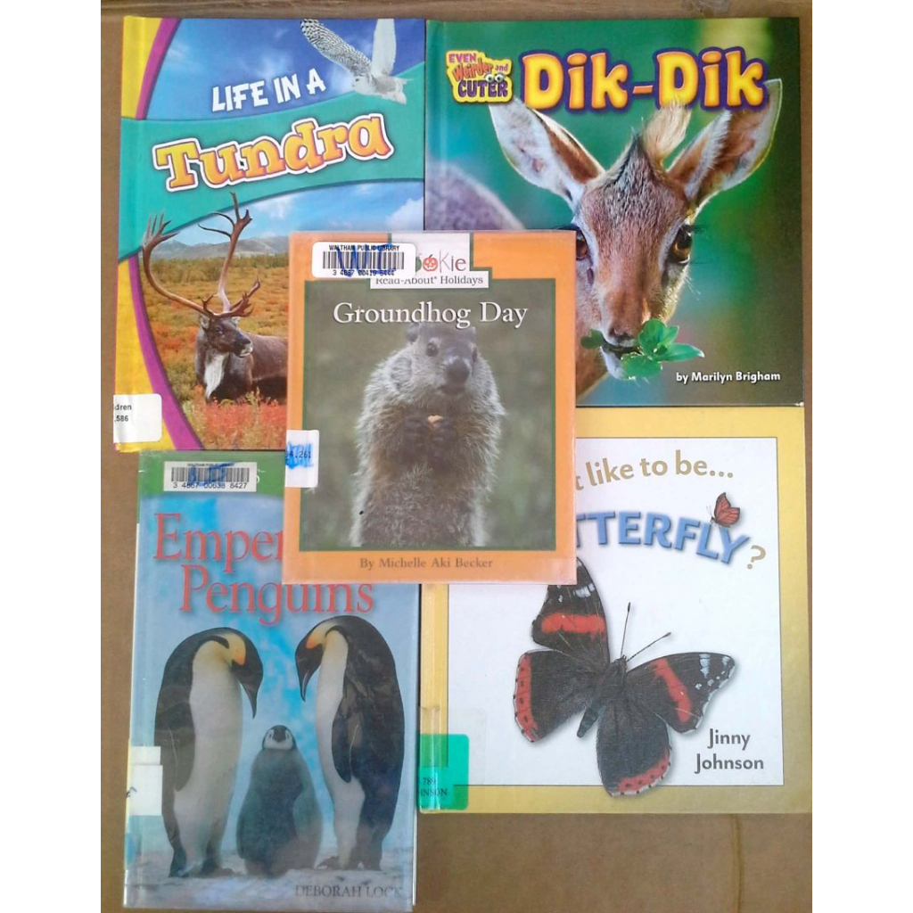 U14 Tundra, Dik-Dik, Groundhog Day, Emperor Penguins, Butterfly หนังสือมือสอง ปกแข็ง