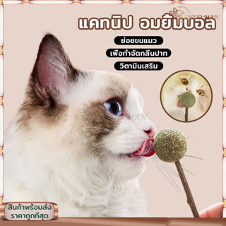 แคทนิปบอล catnip ball ต้นกัญชาแมว แคทนิป เป็นสมุนไพรที่มีกลิ่น ช่วยให้น้องเหมียว ฟิน สดชื่น ผ่อนคลาย อารมณ์ดี