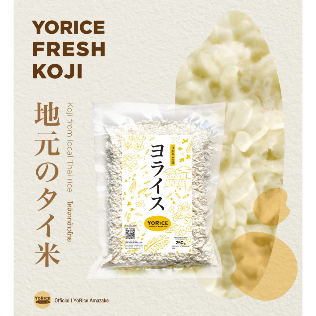 Yorice Koji โคจิจากข้าวท่อนอินทรีย์