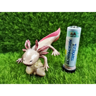 (มีของพร้อมส่ง) Gashapon กาชาปองหมาน้ำ Axolotl โมเดลสัตว์