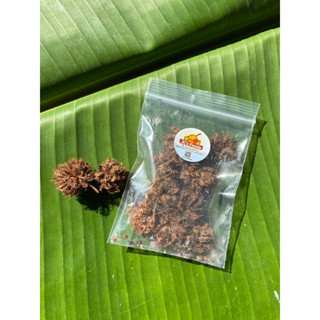 เมล็ดไมยราบ sensitive plant, sleepy plant หรือ the touch-me-not   ซองละ 29 บาท