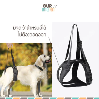 ผ้าพยุงสุนัขหน้า - หลัง รุ่น Tail UP