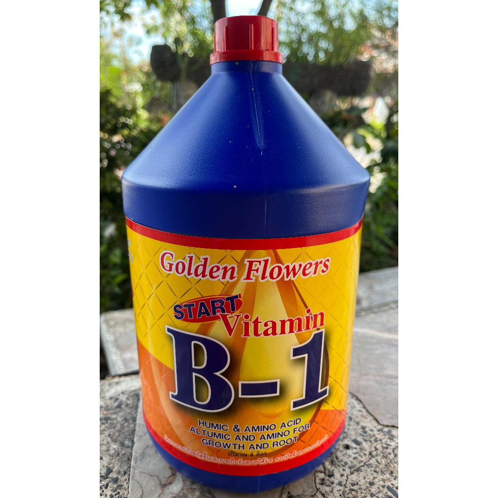 เร่งราก B1 (เปลี่ยนชื่อเป็น BMG ) ใช้สำหรับ เร่งราก ปักชำ และสำหรับตอนกิ่ง ขนาด 4 ลิตร
