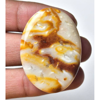 1 pc Natural Petrified Wood   2-3 cm Polished Cabochon Stone / Top High Quality Stone / Jewelry Stone Healing Chakra