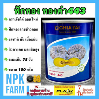 ฟักทอง ทองคำ 443 ขนาด 100 กรัม หมดอายุ 02/2567 ลอตใหม่ งอกดี เจียไต๋ ลายข้าวตอก เนื้อเหลืองเข้ม รสชาติ มัน น้ำหนักดี