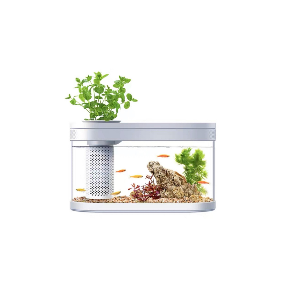Descriptive Geometry Smart Fish Tank Feeding set ตู้ปลาขนาด 8 ลิตร + กล่องป้อนอาหารอัจฉริยะ เชื่อมต่