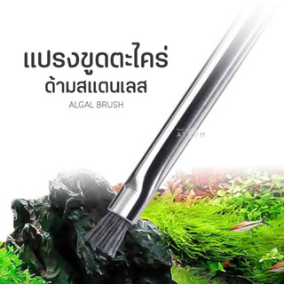 (พร้อมส่ง) แปรงขูดตะไคร่ ที่ขูดตะไคร่บนหินและขอนไม้ ALGAE BRUSH