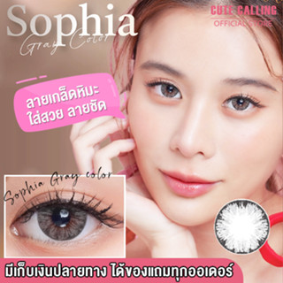 ซื้อ 3 คู่ แถม น้ำยาแช่คอนแทคเลนส์ 30 มล. - บิ๊กอาย Sophia gray color คอนแทคเลนส์ ราคาถูก แถมตลับฟรี