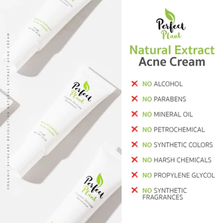 DR.NAME X Perfect Plant ครีมรักษาสิว ลดสิว สิวอักเสบ สิวอุดตัน สิวติดสาร สิวผด สิวฮอร์โมน รอยสิว 15g