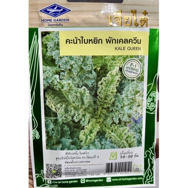 เคล ควีน คะน้าใบหยิก kale Queen (1900 เมล็ด)