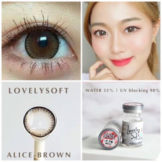 Bigeye Brown,Gray บิ๊กอายสีน้ำตาล Alice สีเทน,สีน้ำตาล