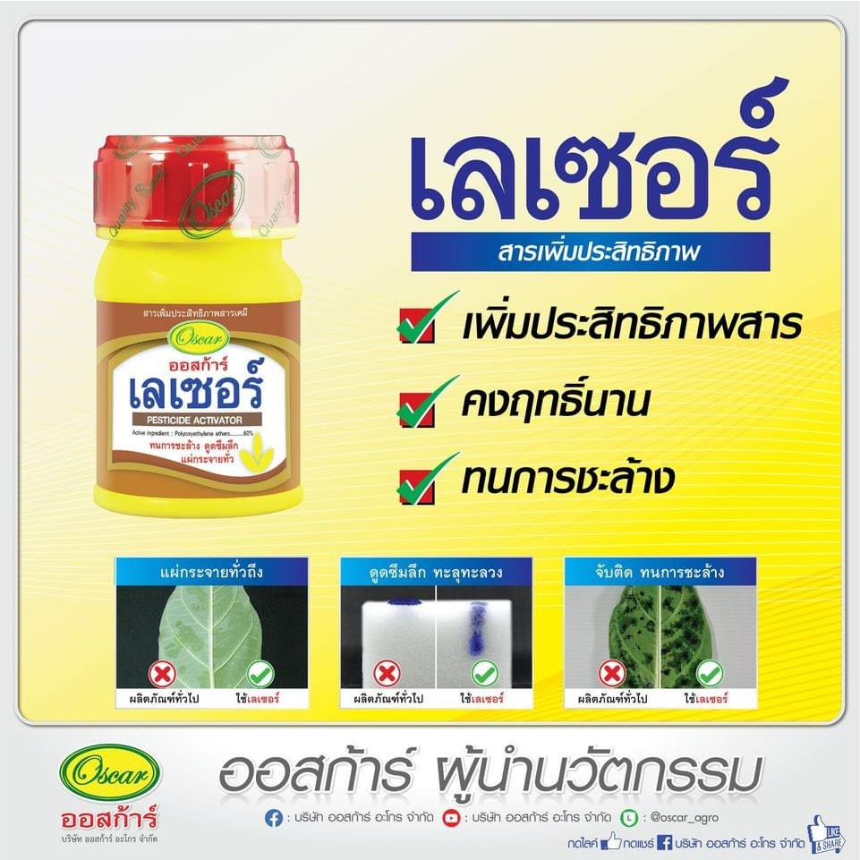 เลเซอร์ (พ่นได้10ไร่) สารแทรกซึมใบ สารเพิ่มประสิทธิภาพ สารจับใบ สูตรพิเศษเข้มข้น คงฤทธิ์นาน ทนการชะล้าง 100 ซีซี