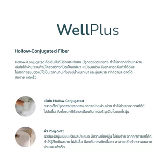 WellPlus Topper Conjugated Siliconized Fiber รุ่น ZPlus O2 หนา 4 นิ้ว ท็อปเปอร์สุขภาพ ที่นอน