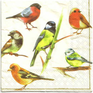 Pladao Napkin ภาพสัตว์ นก หลายสายพันธุ์ Bird กระดาษ แนพกิ้น สำหรับงานศิลปะ เดคูพาจ decoupage ขนาด L 33x33