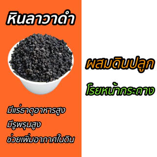 หินภูเขาไฟดำ (หินลาวาดำ Black lava) บรรจุถุง 1 กิโล ขนาด1-5 มิล วัสดุปลูก ผสมดิน โรยหน้ากระถาง แคคตัส (กระบองเพชร) บอนไซ