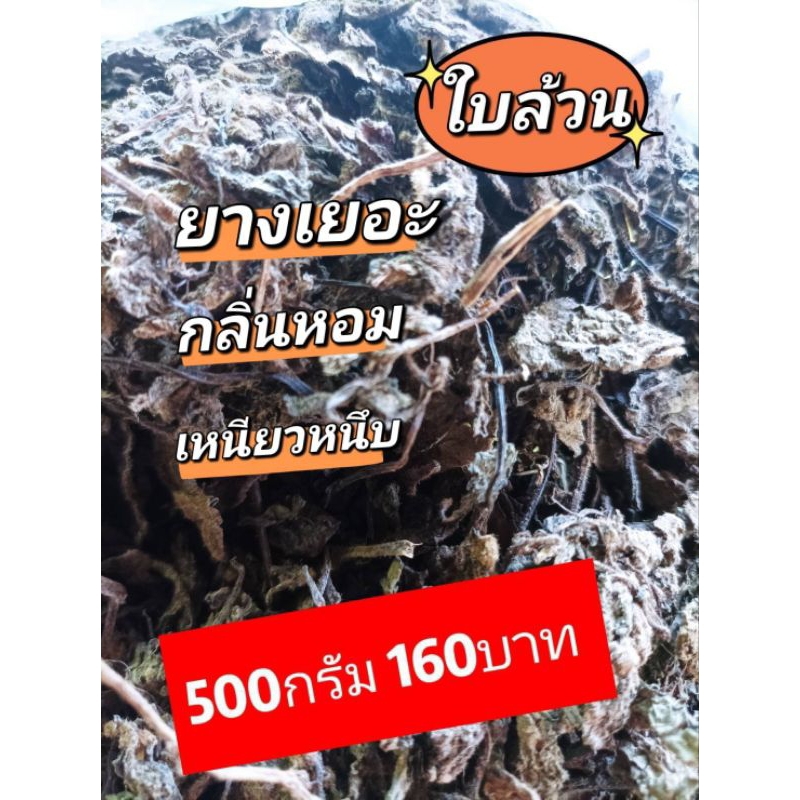 เฉาก๊วยใบล้วน97% เกรดทำเนื้อนำเข้า 0.5 กิโลกรัม