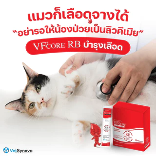 VF+ Core (VFCore) - LS Lysine | JC Joint Care | RB Multi Vitamins อาหารเสริม สำหรับ สุนัข และ แมว 12g