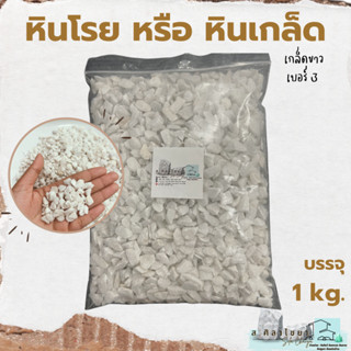 🪴 หินเกล็ด สีขาว เกรด B  เบอร์ 3 บรรจุ 1 kg. หินโรยกระถาง 🪴🪴 หินโรยหน้ากระถาง หินตกแต่งสวน หินแคดตัส 🪴