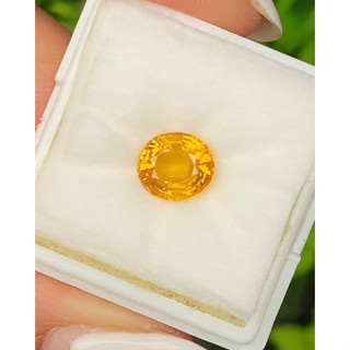 พลอย บุษราคัม yellow sapphire 1.91 กะรัต (Cts.)