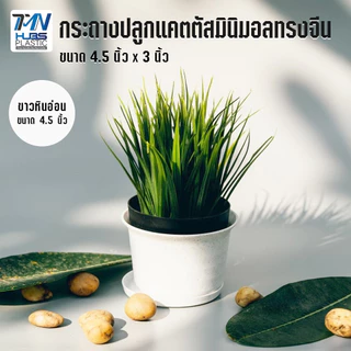 กระถางปลูกแคตตัสมินิมอลทรงจีนสีหินอ่อน ขนาด 4.5" x 3" ราคาถูก กระถางพลาสติก กระถางต้นไม้กระถางดอกไม้