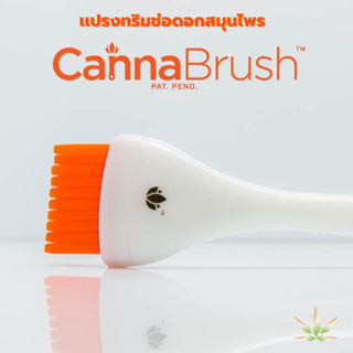 Cannabrush แปรงทริม แปรงทริมช่อดอกสมุนไพร เเปรงเเท้ งานUSA