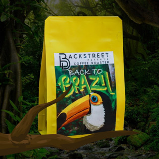 Backstreet House [ Blend Series ] เมล็ดกาแฟ Back To Brazil [ Brazil Blend ]