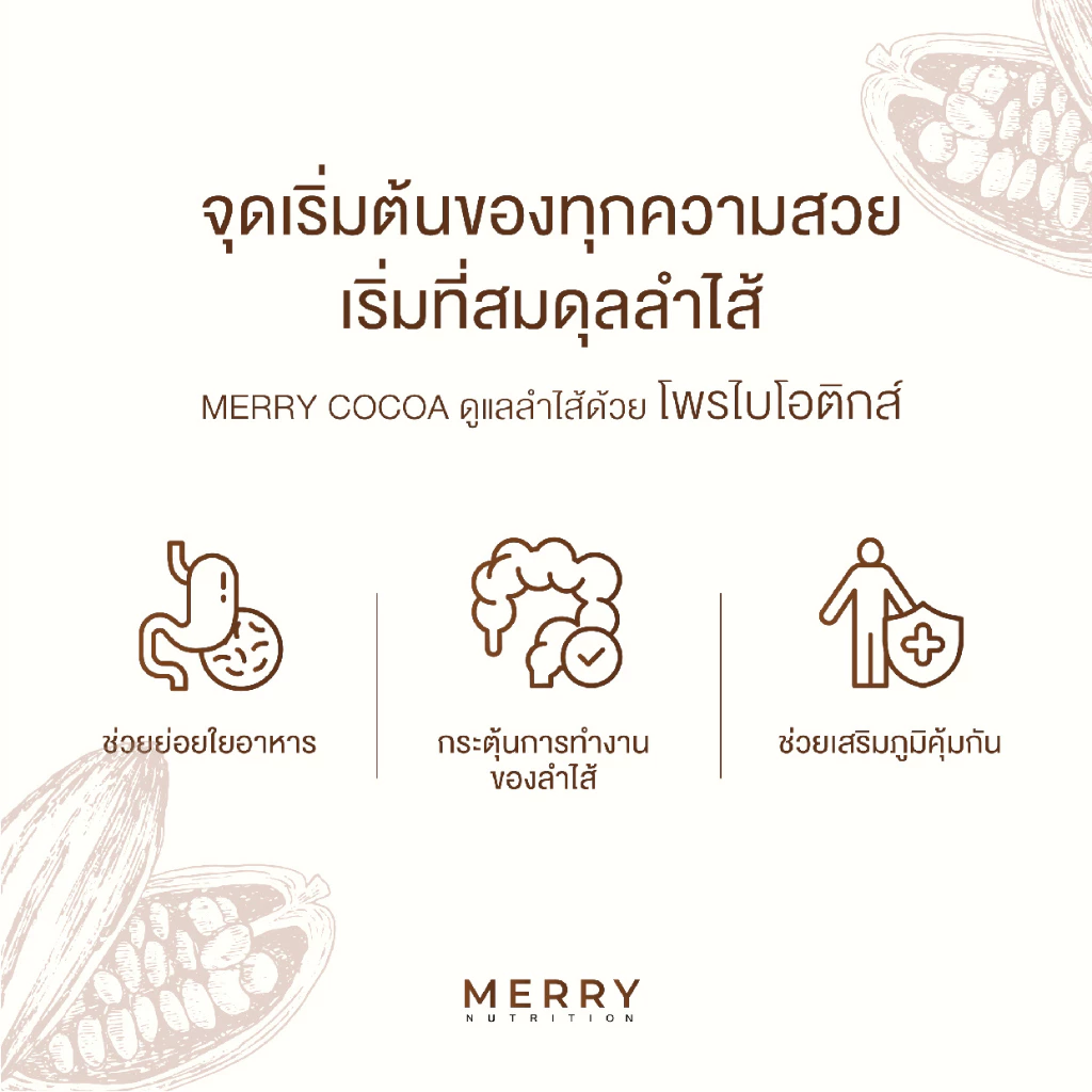 Merry Cocoa เมอร์รี่โกโก้มีไฟเบอร์สูง สูตรโพรไบโอติกส์(Bacillus Coagulans จากญี่ปุ่น)[1กล่องx10ซอง ] thumbnail 4