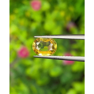 พลอย บุษราคัม Yellow Sapphire 0.95 กะรัต (Cts.)