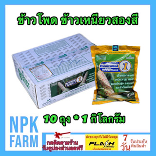 ***ขายยกลัง*** ข้าวโพดข้าวเหนียว สองสี 1 กิโลกรัม ยกลัง 10 ถุง หมดอายุ01-02-2567 ข้าวโพดสองสี ขาว และม่วง แปซิฟิค