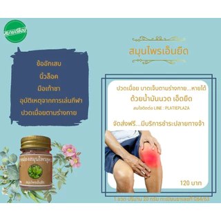 น้ำมันนวดสมุนไพรเอ็นยืด Body Massage Oil