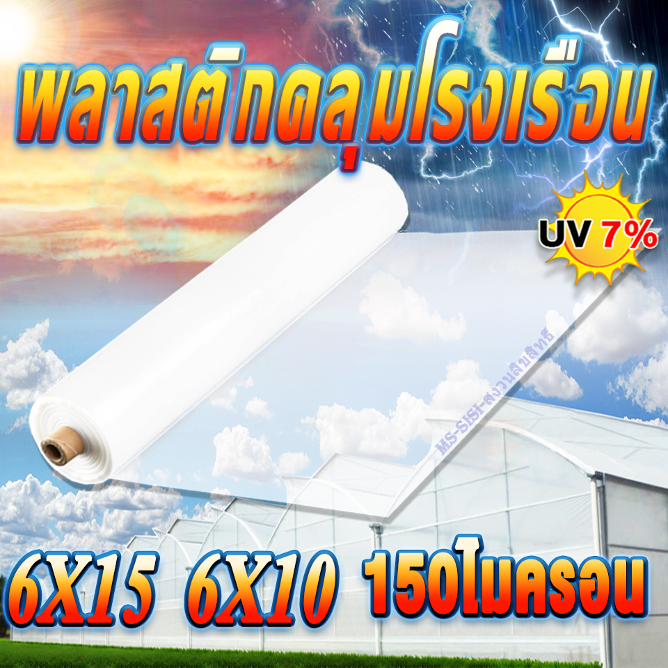 พลาสติกโรงเรือน พลาสติกใส 6X10 6X15 เมตร ความหนา 120 150 ไมครอน UV7% Green House พลาสติกคลุมโรงเรือน