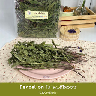 CayCay Dandelion ใบแดนดิไลออน