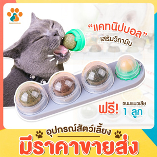 BoomBoom พร้อมส่ง 🐱🐶 แคทนิปบอล 3 ลูก พร้อมขนมแมว วิตามินแมว ขนมแมวเลีย ลูกบอลแมวเลีย catnip หญ้าแมว