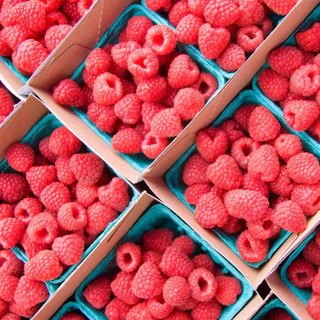 Mathieu Teisseire น้ำเชื่อมกลิ่นราสเบอร์รี 700 มล. (Raspberry Syrup) ไซรัปสำหรับค็อกเทล ม็อกเทล โซดา ชา และสมูทตี้