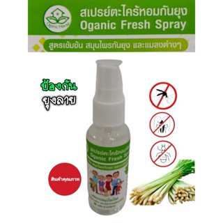 สเปรย์ป้องกันยุงตะไคร้หอม Organic สูตรเข้มข้น