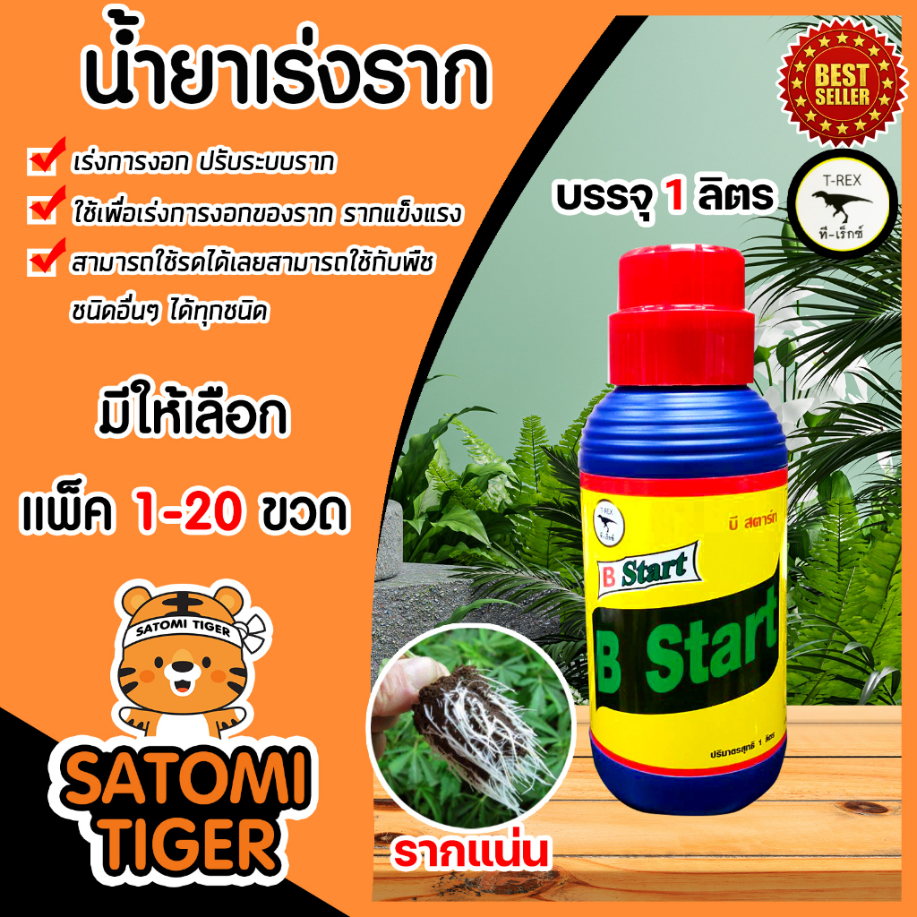 น้ำยาเร่งราก ทีเร็กซ์ B Start วิตามินบี-1 B1 ขนาด 1ลิตร มีให้เลือก 1-20 ขวด  เร่งการแตกราก รากแข็งแรง