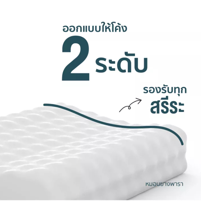 WellPlus หมอนยางพาราแท้ ลดกรน ไม่ปวดคอ จัดระเบียบกระดูกสันหลัง รูปที่ 6